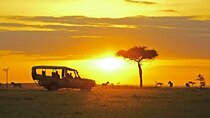 6 Day Affordable Group Camping 4x4 Safari(Mara,Nakuru & Amboseli)