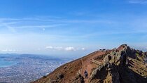Private tour Mt.Vesuvius&Herculaneum