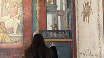 Tour of Pompeii Excavations with Holy Door Visit of the Shrine 