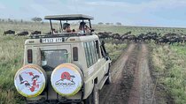 7 Days Serengeti Migration Calving Season Safari & Hot Springs 