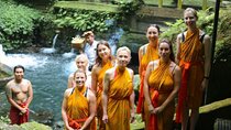 Ubud Highlights Shared Tour – Small Group Full-Day Experience