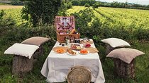 Pic Nic in the Vineyard with wine tasting