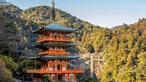Private Outstanding Nikko Tour with English Speaking Driver