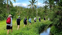 Tree to Sea: A 6-Day Bali Heritage Trail