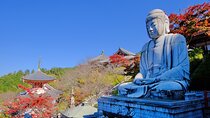 Autumn Leaves Buddha and Mt.Yoshino with Orange Picking Tour