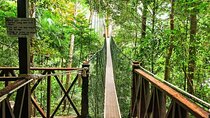 Jungle Odyssey: Unleash Your Adventure in Taman Negara!