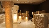 1 Night and 2 Days Private Gobeklitepe Tour from Istanbul