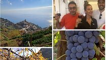 Wine trails from Positano with tasting