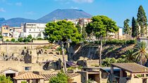 Herculaneum and Vesuvius Private Tour from Naples