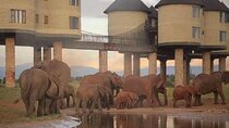 3 Days Tsavo East Tour and Saltlick Safari From Nairobi
