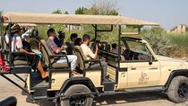 Sharjah Safari: A Wildlife Adventure Like No Other