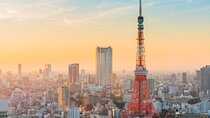 Tokyo Tower Observatory TOP DECK TOUR 150m + 250m (Special Deal)