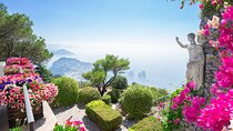 Best Amalfi Coast Tour from Naples Designed for Cruise Passengers