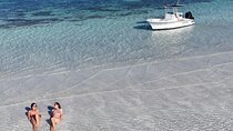 Key West Private 6-Person Sandbar & Snorkeling Charter