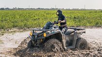 Epic ATV Expedition – Ride Miami's Trails Like Never Before!"