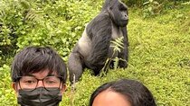 Rwanda One Day Gorilla Trekking
