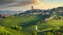 Barolo & Barbaresco Wine Tasting Tour–Alba & Piedmont from Milan