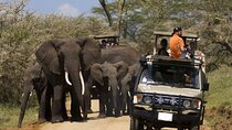 2 Days Amboseli National Park Safari Daily Departures