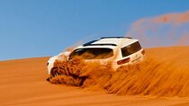  Dubai Desert Safari Tour by 4WD with Options