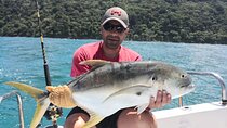 Sport fishing in in the Gulf of Papagayo Costa Rica