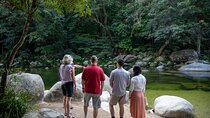 Half Day Tour to Daintree Rainforest and Mossman Gorge
