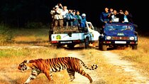 2 - Days: Jim Corbett jungle safari tour from Hyderabad by Flight