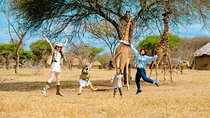 The Great 5-Days Safari Journey