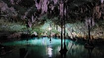Cenotes Sacactum, Private tour.