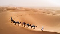 Exclusive Desert Adventure: Marrakech to Fes in 3 Days