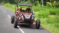 Bali Buggy - Best UTV Ride Adventures in West of Ubud