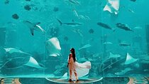 Dubai Lost Chambers Aquarium at Atlantis Ticket