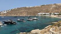 Mykonos 8 Hours Private Tour All Inclusive (Up To 7)