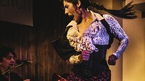 Local Flamenco Show with dinner at El Cortijo