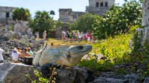 Tulum and Coba Ruins with a Cenote Experience