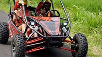 Bali Buggy and Ubud Tour Packages