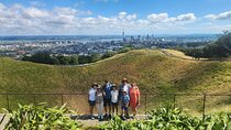 Private Auckland Best Top 5 Spots Half day Tour 