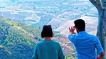 Private Premium Wine Experience through Douro Valley