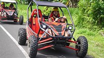 Bali Buggy and Uluwatu Tour Packages