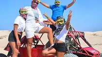 Super Quad Safari, Buggy, Carmel Ride with Dinner from Hurghada 