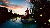 Kuala Lumpur to Kuala Selangor Fireflies Tour with Seafood Dinner