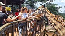 Giraffe Centre , Kobe Beads and Bomas Day Tour
