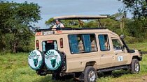 The World's Best 1 Day Tarangire Budget Group Safari From Arusha