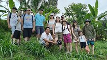 Tetebatu Guided Tour in Rice Terraces Waterfall and Monkey Forest