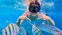 Grand Snorkeling Riviera Maya Private Tour
