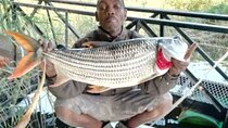 Reel in the Wild: Tiger Fishing Trip on the Zambezi