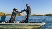  Chobe : Tiger Hunt on the Chobe River – 3 Hour Fishing Safari