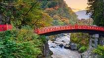 Nikko Private Tour Toshogu Shrine water fall and Edo wonderland 