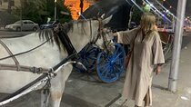 Discovering Luxor via Horse Carriage.