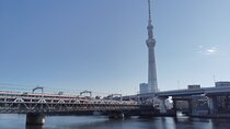  Tokyo Skytree Private Walking Tour Experience With cafe inside
