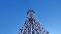 Tokyo: 3 Towers Tour – A Sky-High View of the City